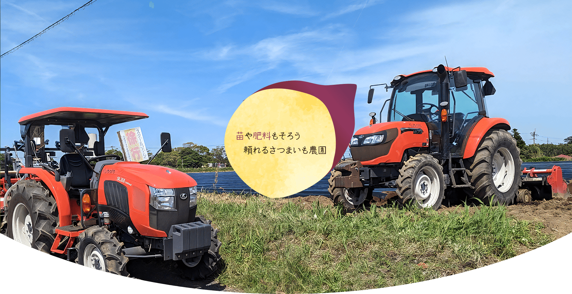 苗や肥料もそろう、頼れるさつまいも農園