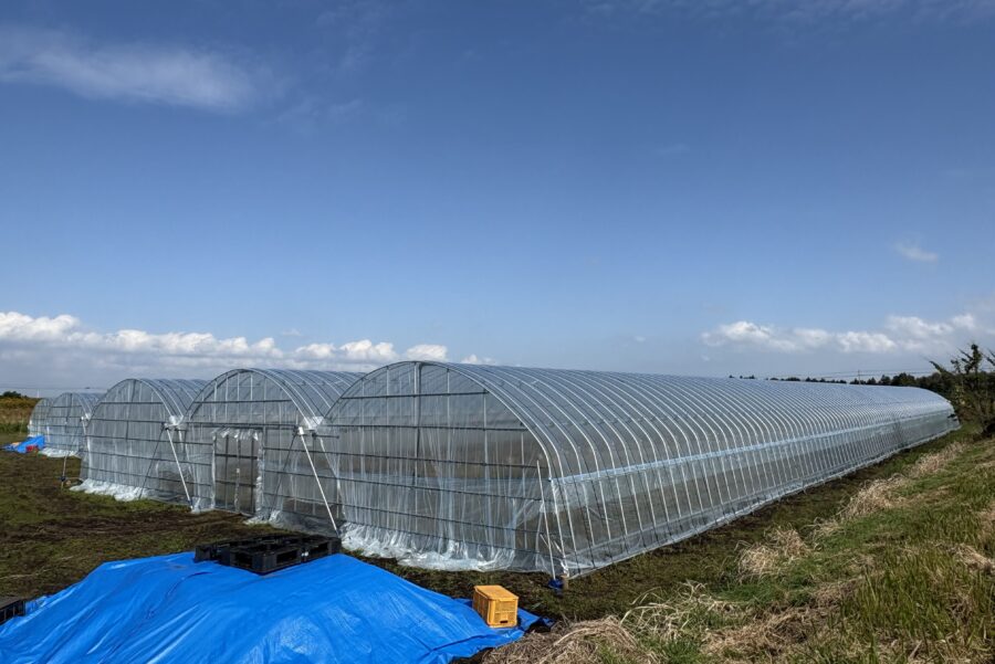 176FB5AA-6283-4145-8914-033D08580FE2