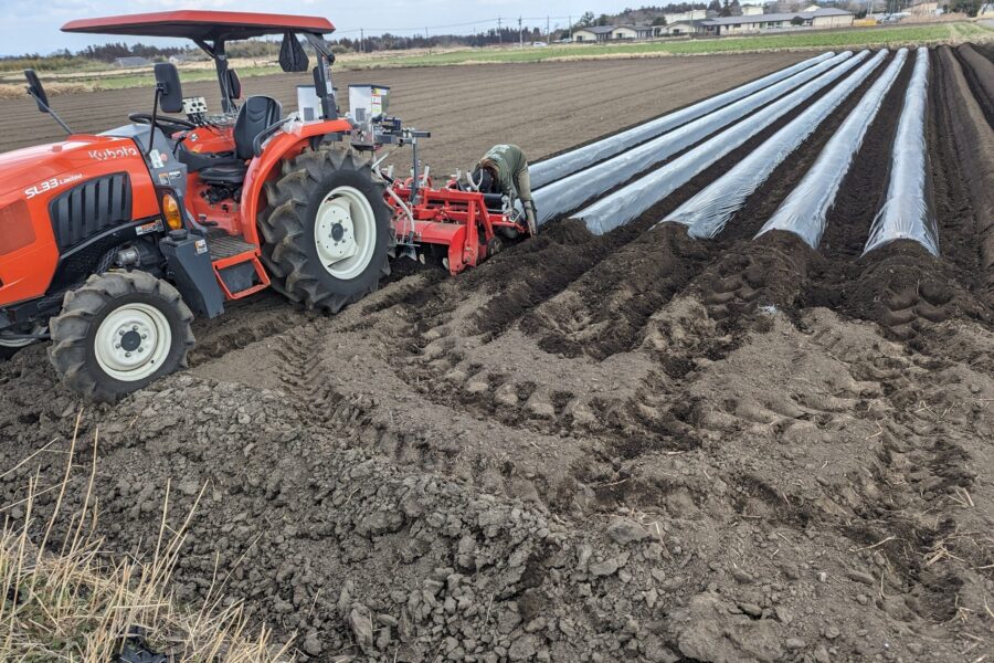 さつまいも農園　肥料